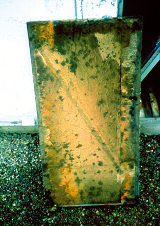 Contaminated fibrous insulation inside air duct.